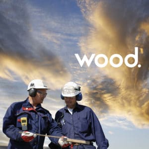 Wood Environment & Infrastructure Solutions, Inc.